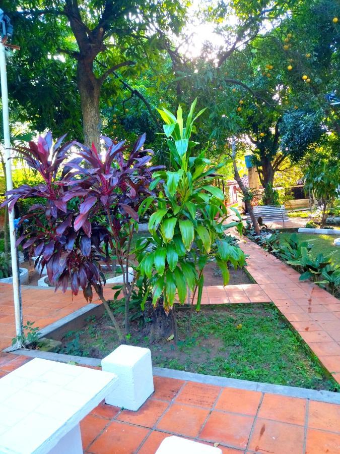 Hotel La Aparesida Areguá Extérieur photo